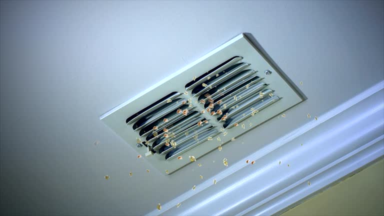 Best Affordable Duct Cleaning Services  in Orosi, CA